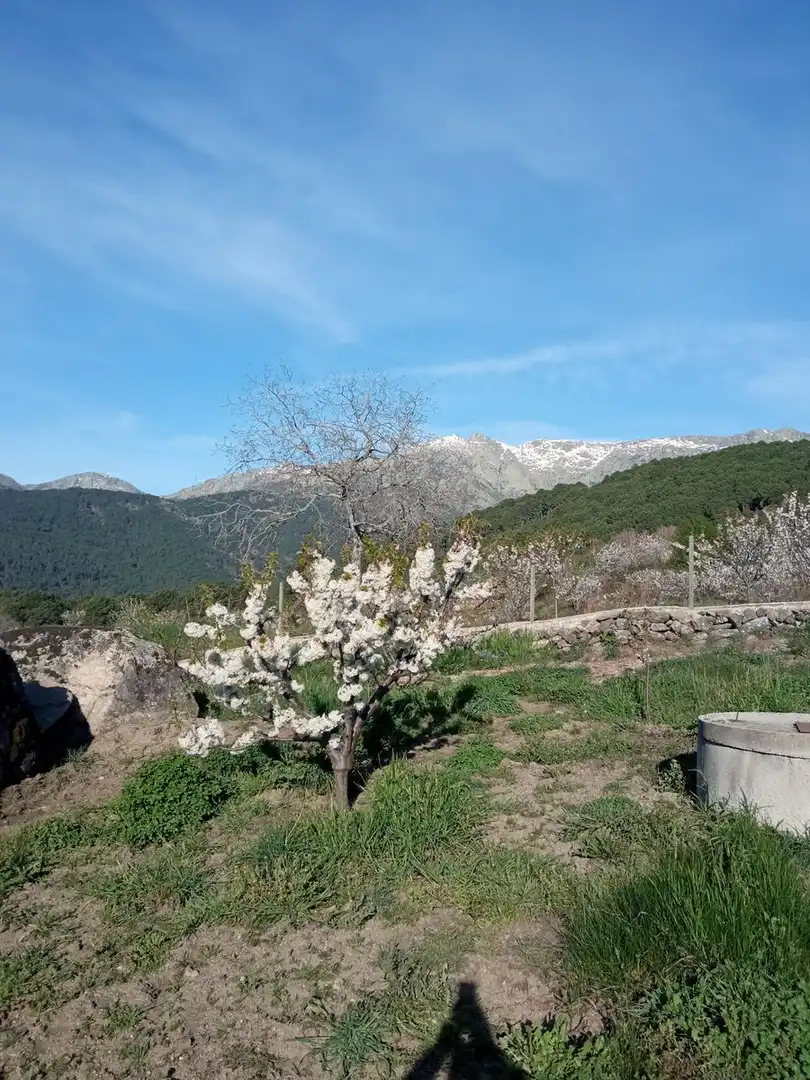 Garten von Residential zum Verkauf in El Hornillo 