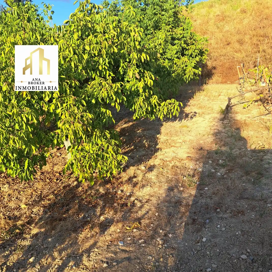 Finca rústica en venda en Arriate amb Jardí privat i Piscina