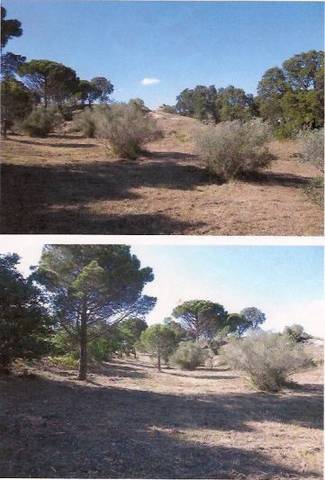 Terreno en Venta en  Carrer Albera, 2 en Vilajuïga