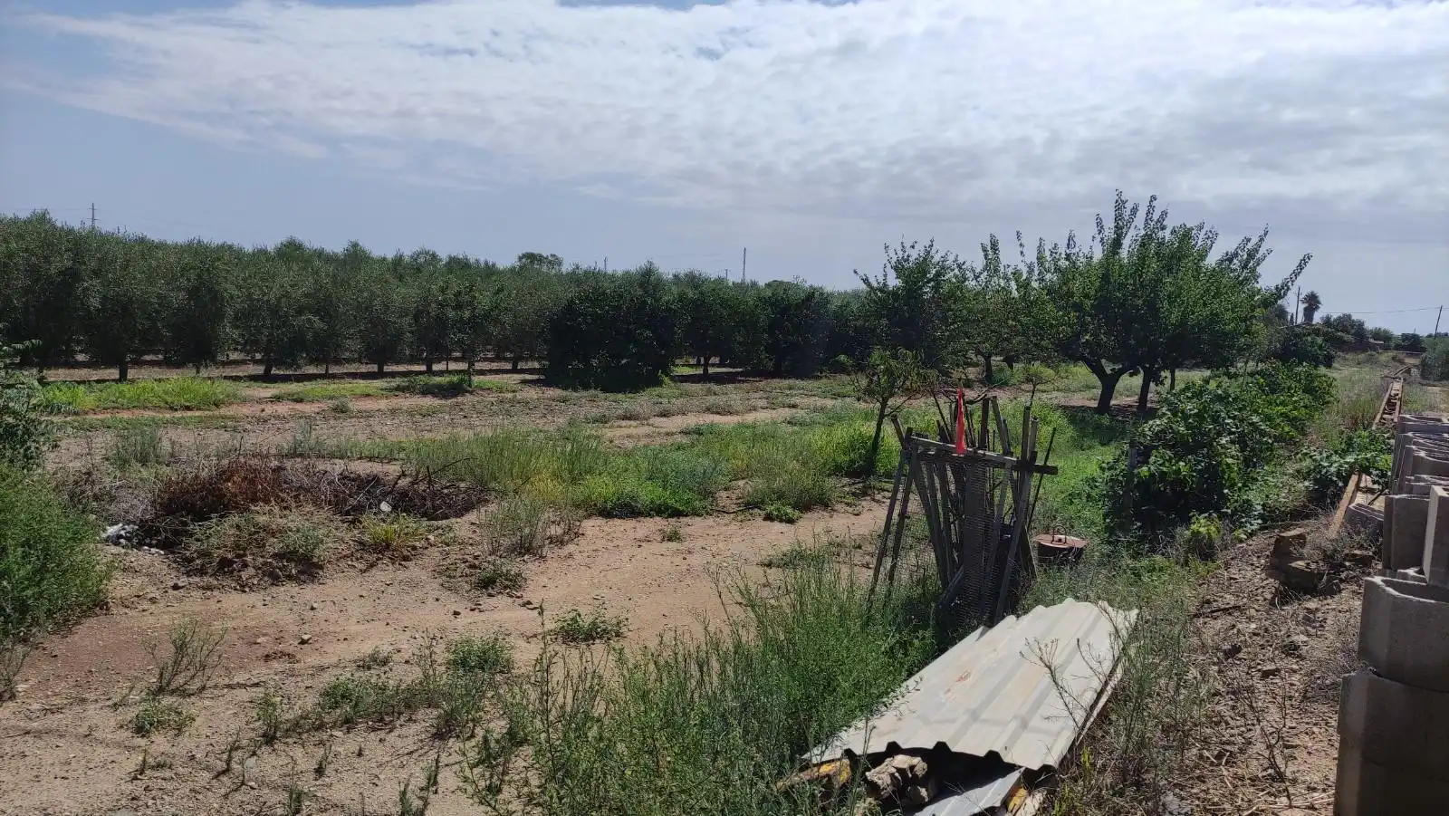 Finca rústica en venta en de les Hortes, Montbrió del Camp