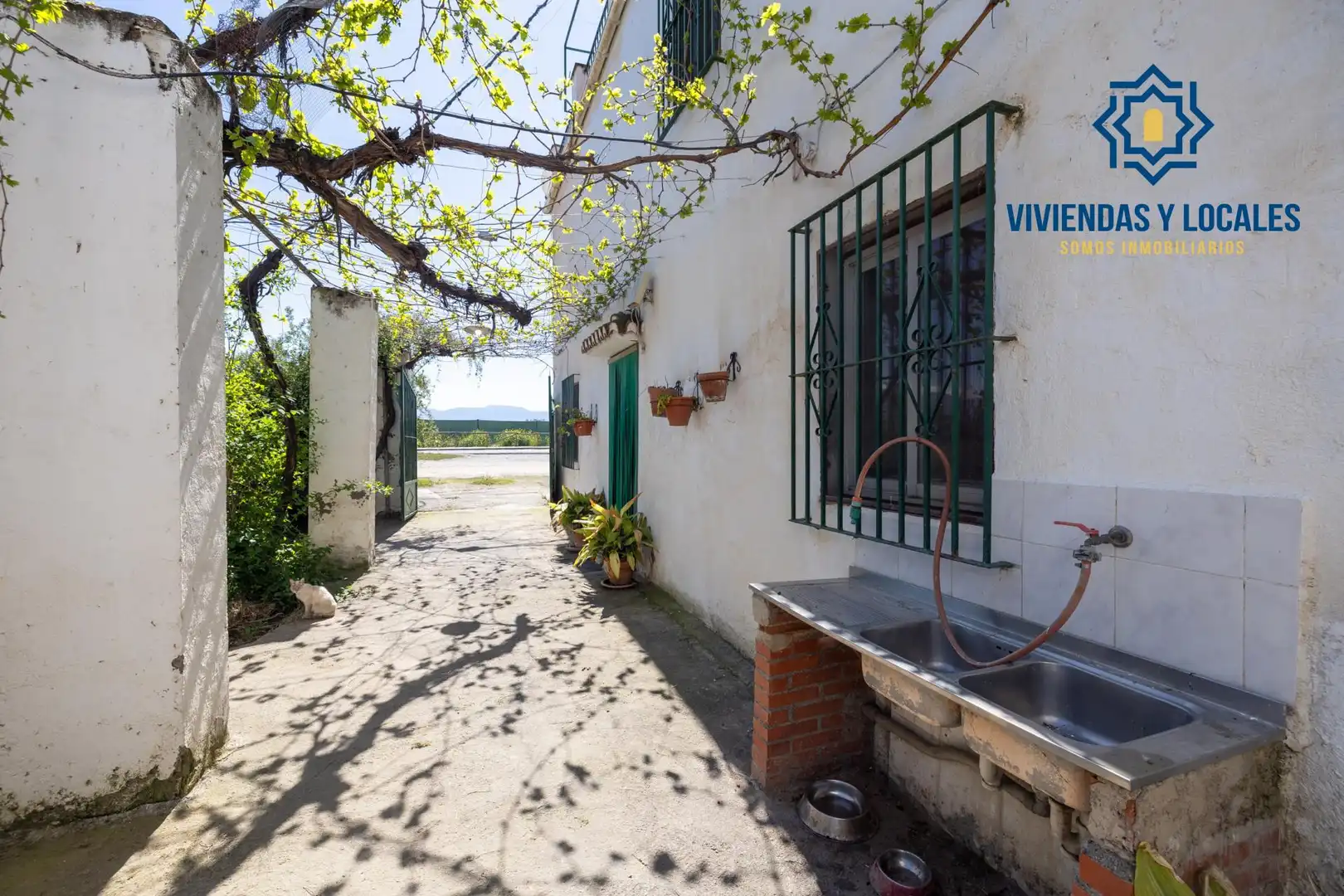 Vista exterior de Finca rústica en venta en Armilla con Jardín privado y Terraza