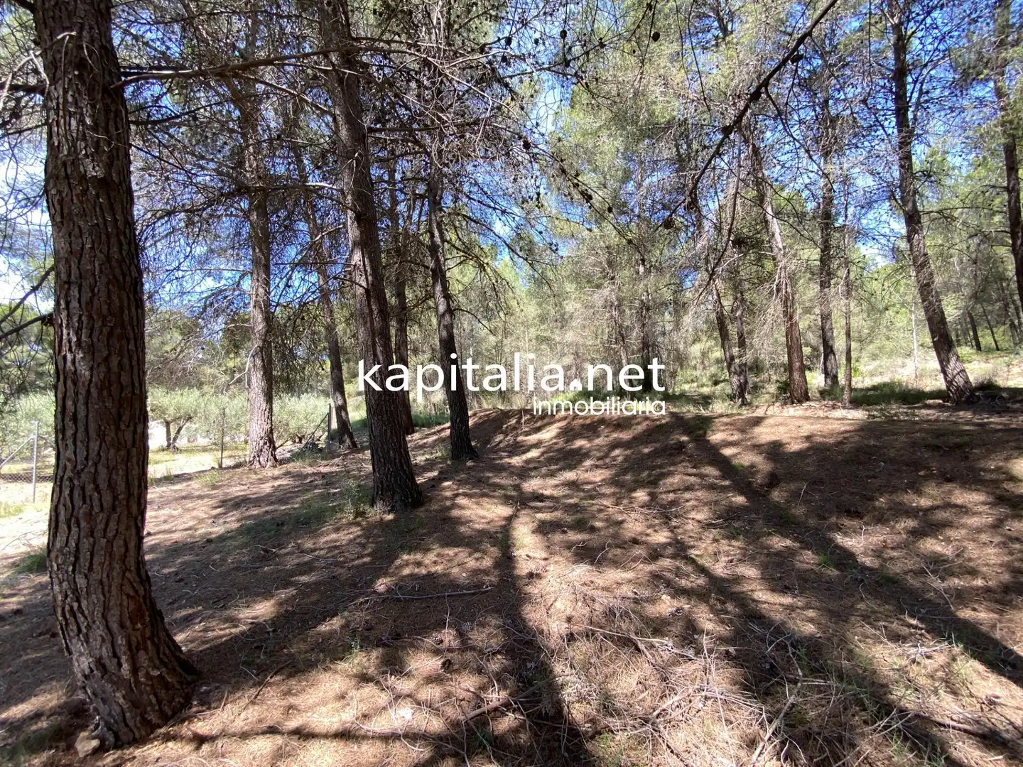 Terreny rústic en venda a L'Olleria, imagen 4