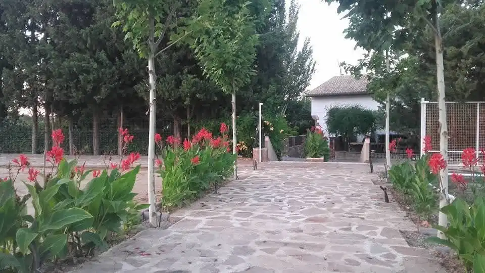 Garden of Land for sale in Tudela