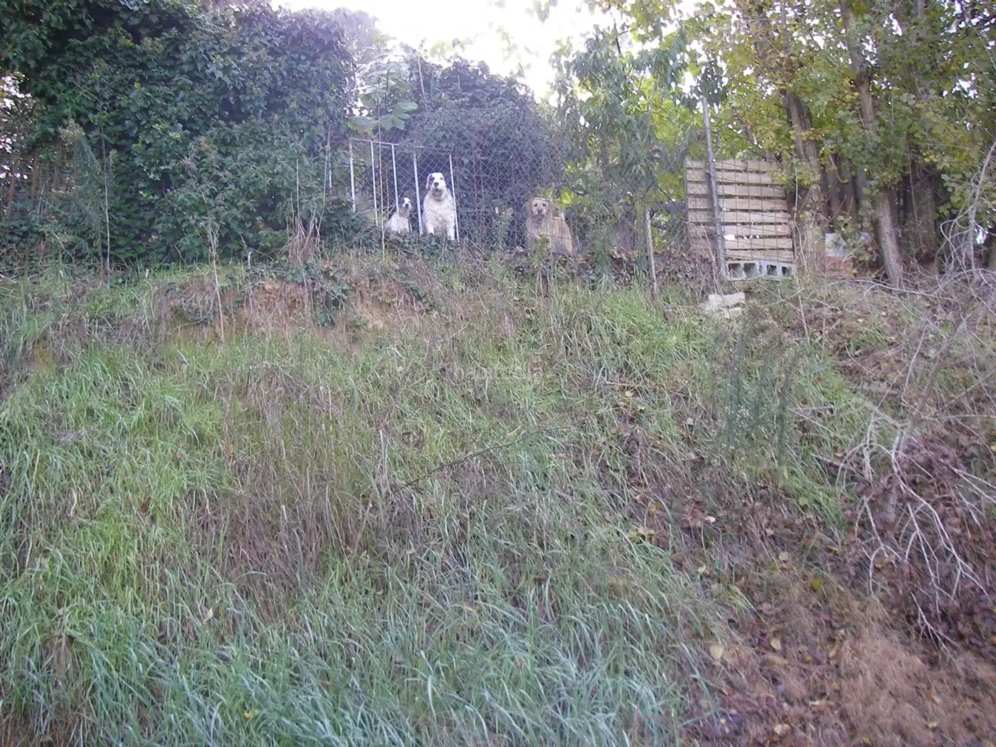 Residential land for sale in Carrer Riera Claret 3, imagen 21