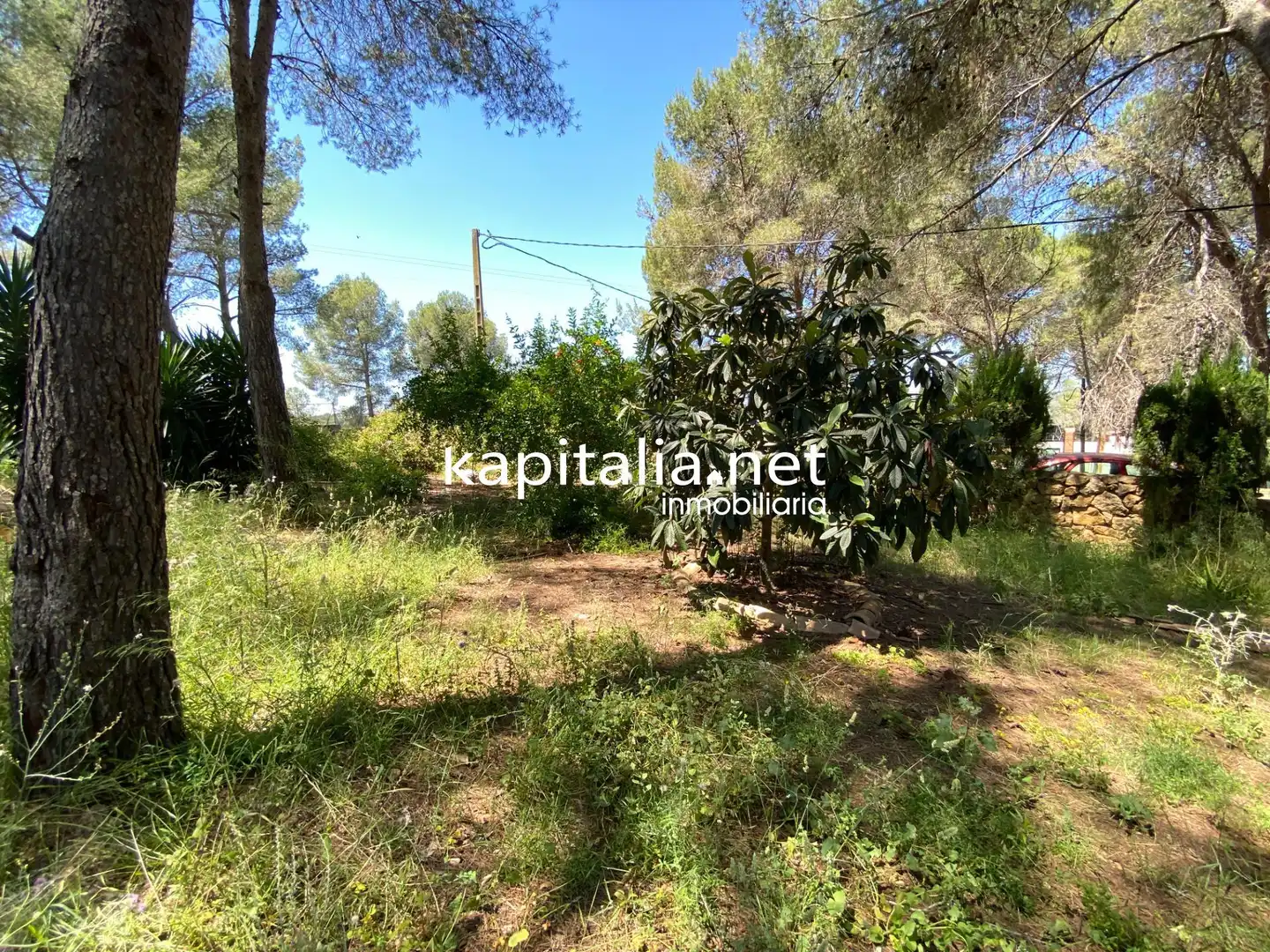 Casa o chalet en venta en Alberic con Jardín privado, Piscina y Amueblado
