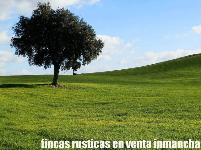 Terreno en Venta en Viso del Marqués