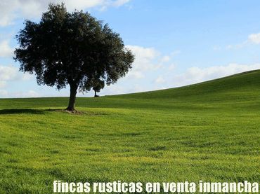 Terreny rústic en venda a Viso del Marqués