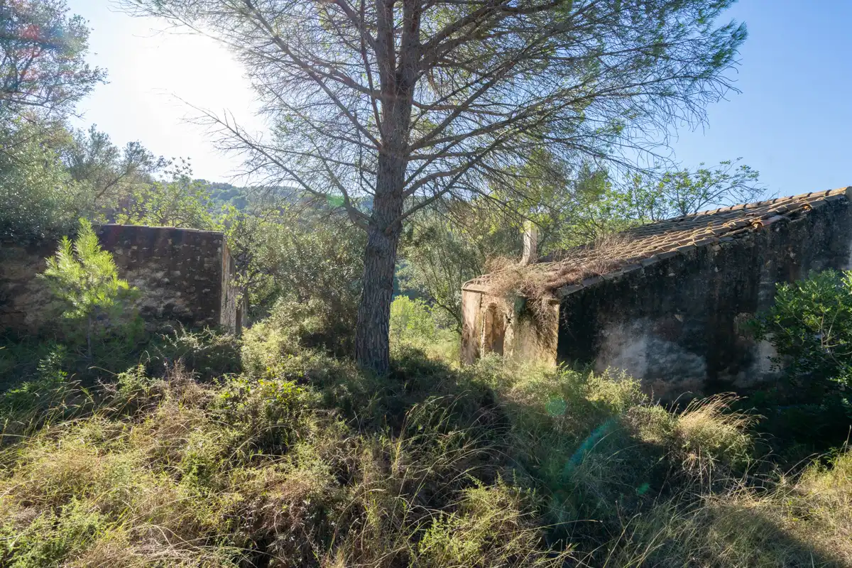Terreny rústic en venda a Camí de la Potra de Pino 28, imagen 6