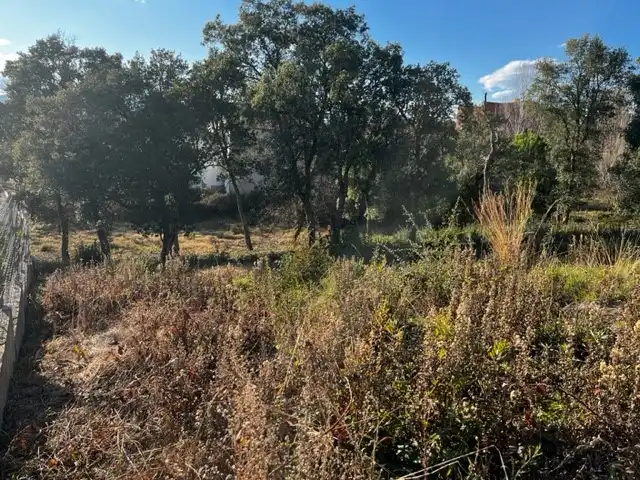 Terrain résidentiel à vendre à Urbanizacion Mas Llunes 1840, imagen 2