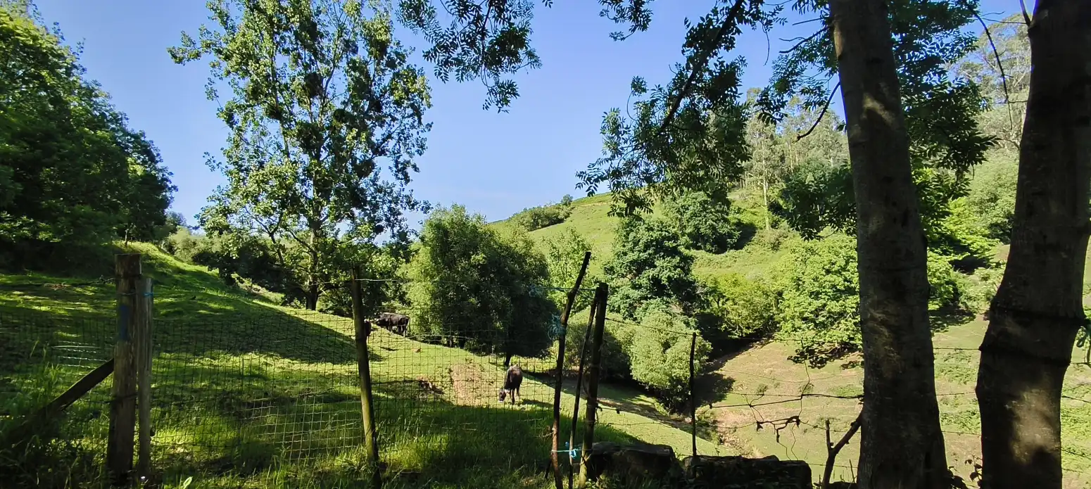 Casa amb jardí en venda a Cabezón de la Sal - Las Tueras, imagen 9