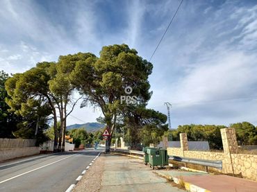 Terreno rustico in vendita a Calle Carretera de la Santa S/N