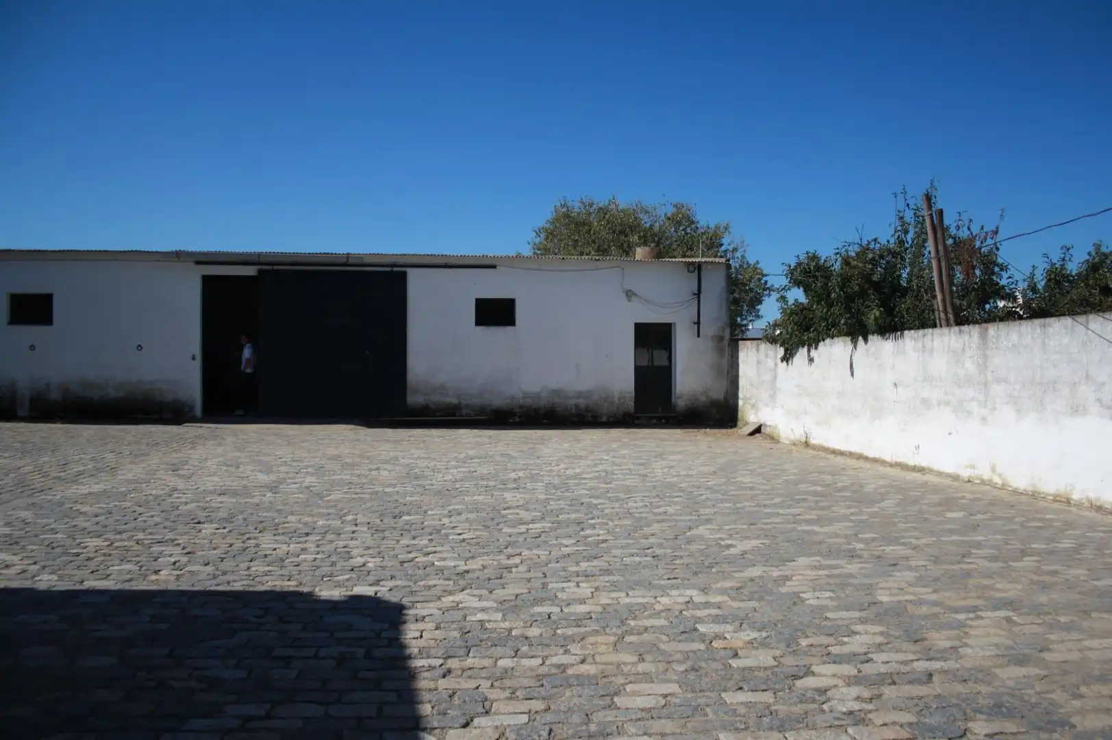 Exterior view of Residential for sale in Carrión de los Céspedes
