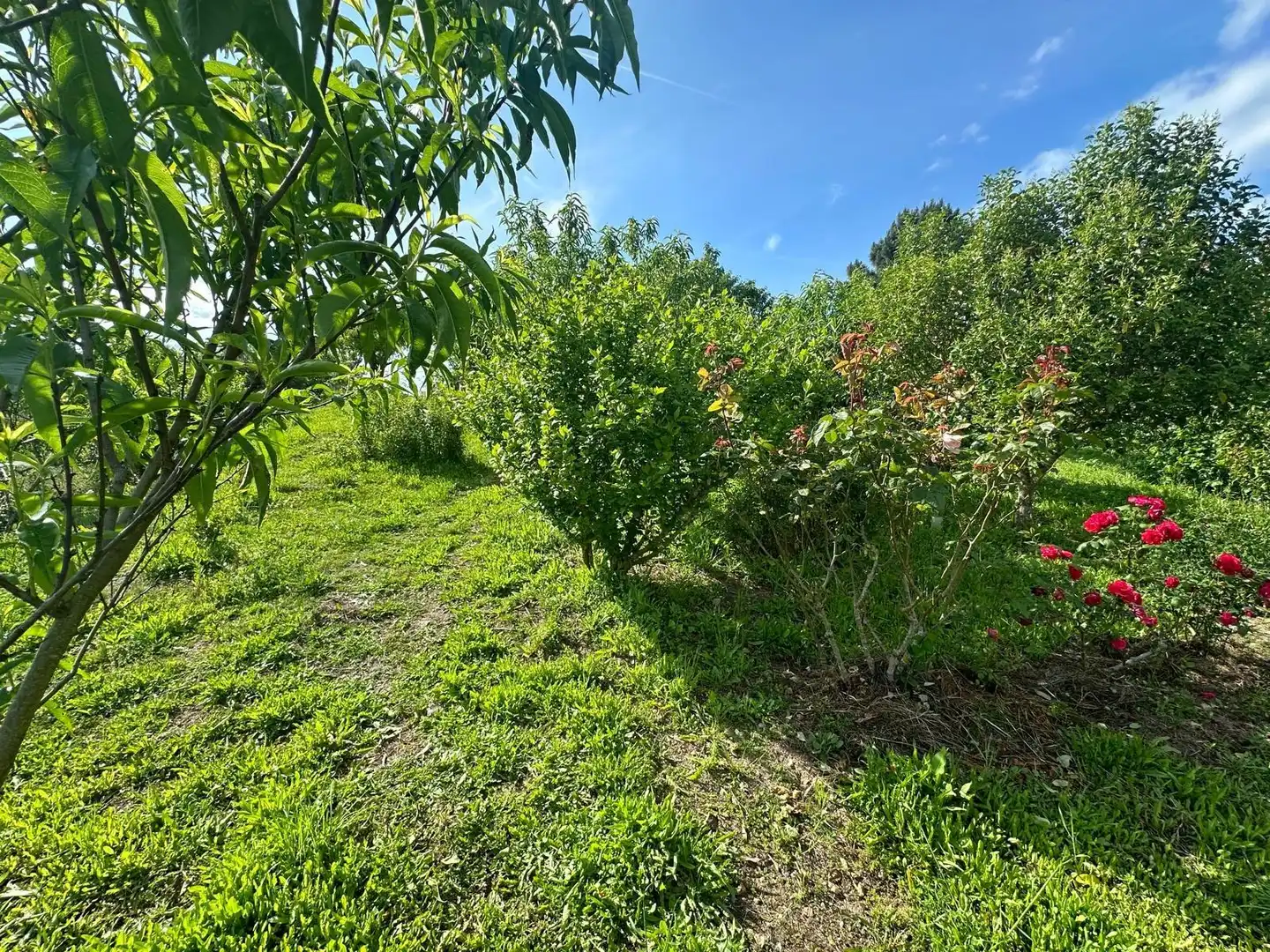 Xalet amb jardí en venda a Ventiun, imagen 75