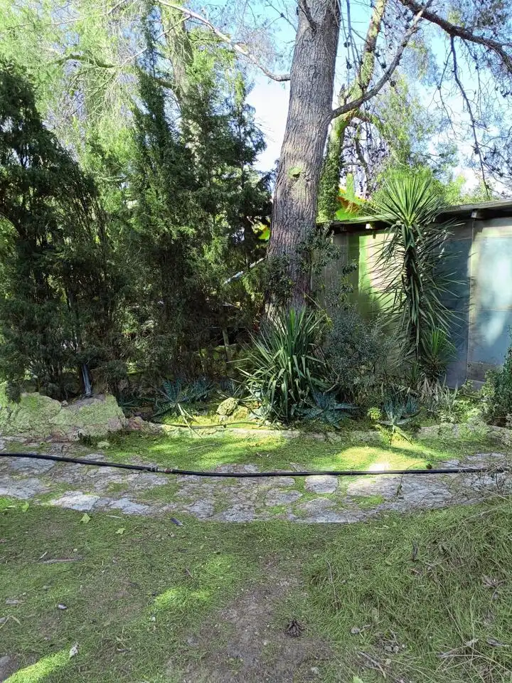 Jardí de Casa o xalet en venda en Zuera amb Jardí privat i Piscina comunitària