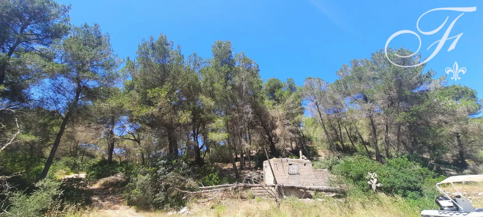 Terreny rústic en venda a Sant Jordi de Ses Salines-Sant Francesc, imagen 5
