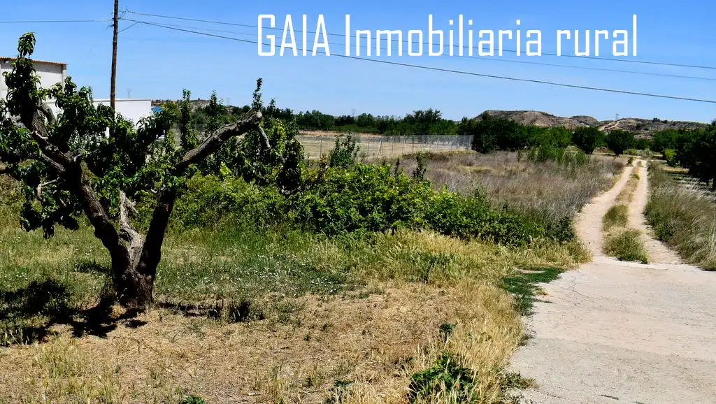 Terreni e lotti in vendita a Maella, imagen 3