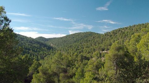 Photo 2 of Country homes for sale in Santana, Onil, Alicante