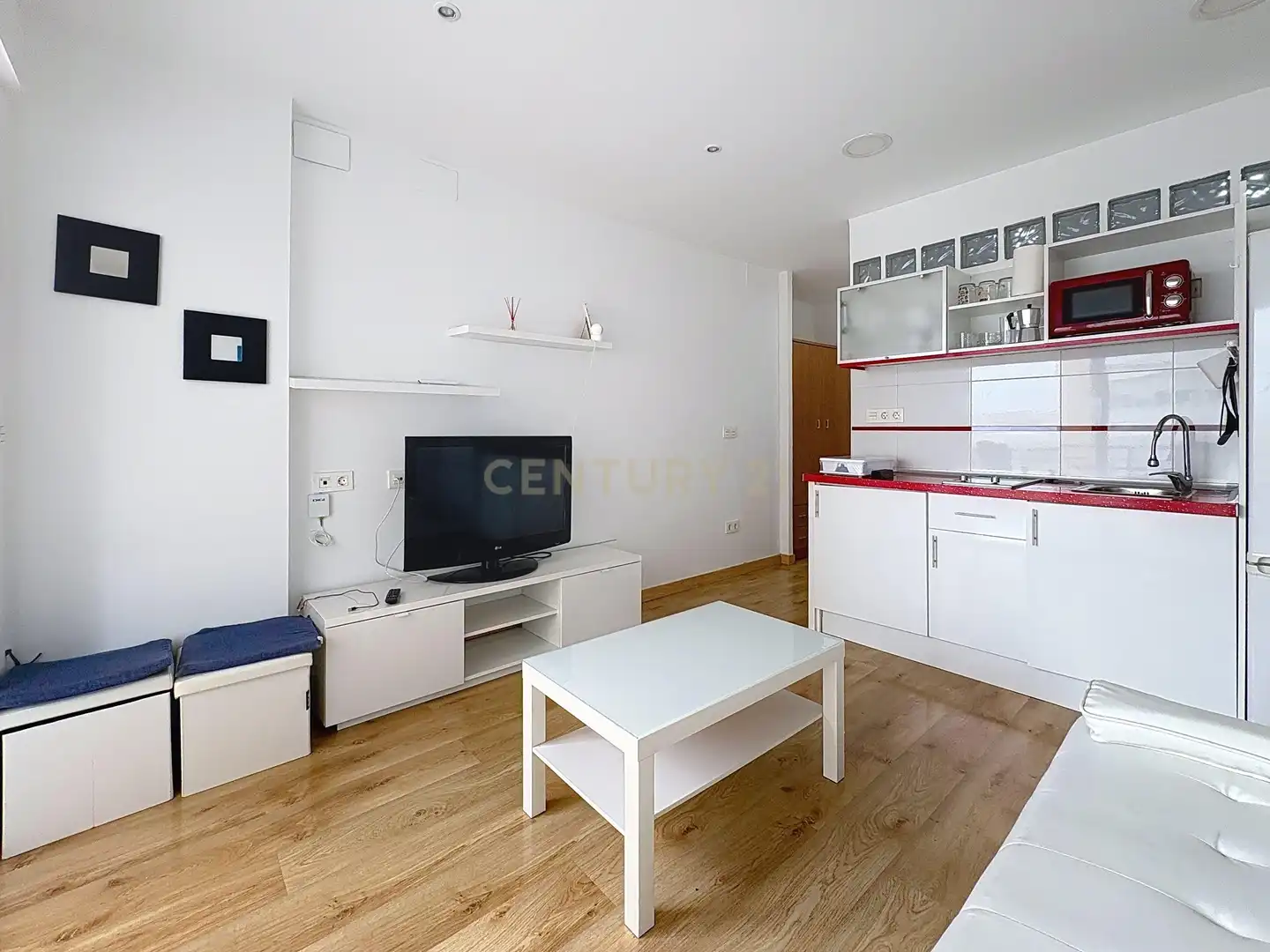 Living room of Study for rent in Centro