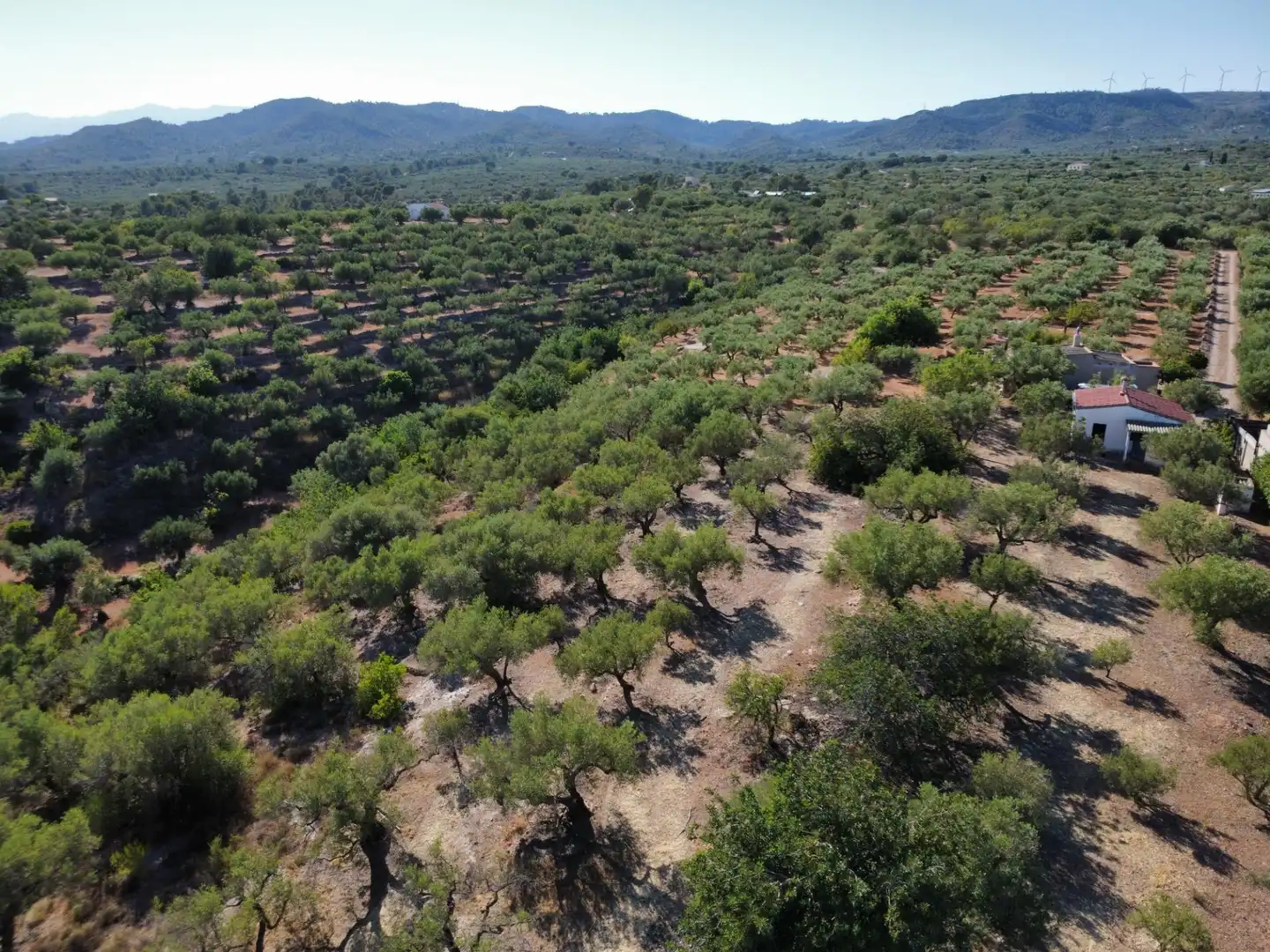 Finca rústica en venda en L'Aldea amb Traster