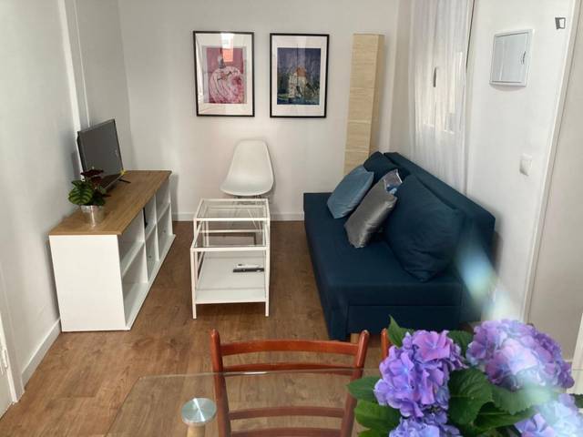 Apartamento en Alquiler en Guindalera