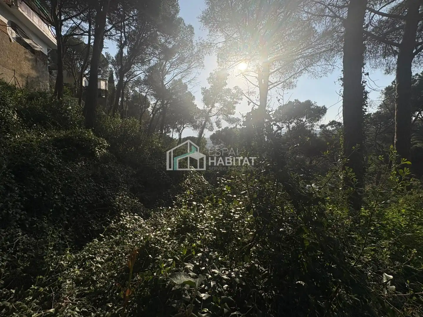 Terreny residencial en venda a Cabrils, imagen 5