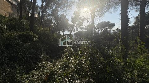 ESTA BUSCANDO PARCELA PARA CONSTRUIR SU CASA?? AQUÍ LA TIENE!!, immagine 5