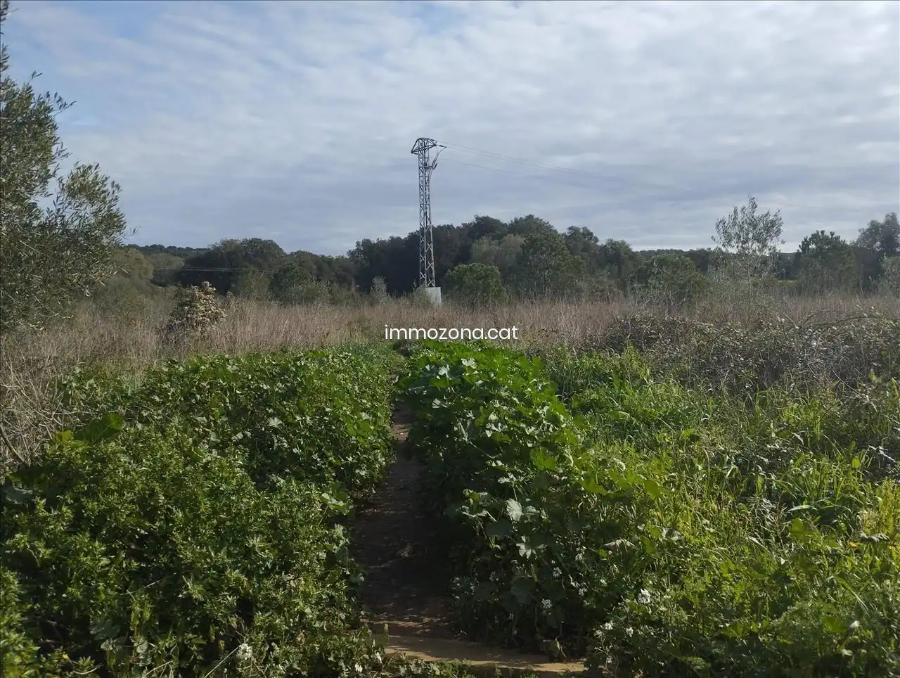 Terreny residencial en venda a Calle Maria A Alberti Vendrell, imagen 11