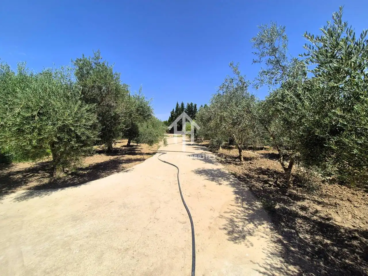 Residential land for sale in Avenida Doctor Rodríguez de la Fuente, imagen 18