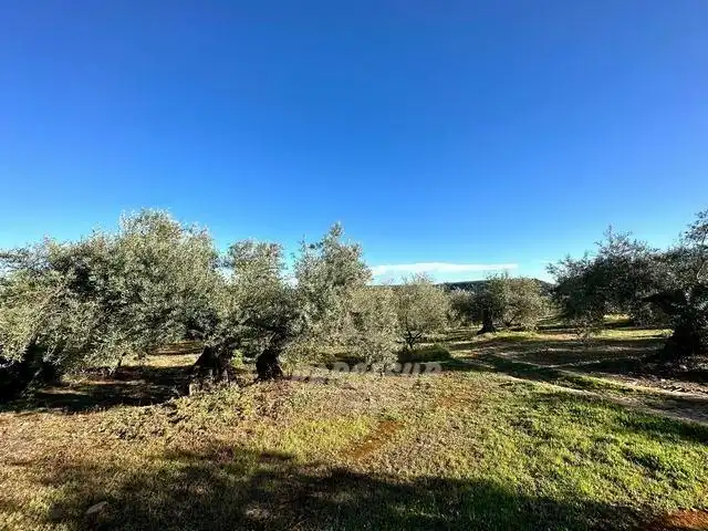 Finca rústica en venta en Adamuz