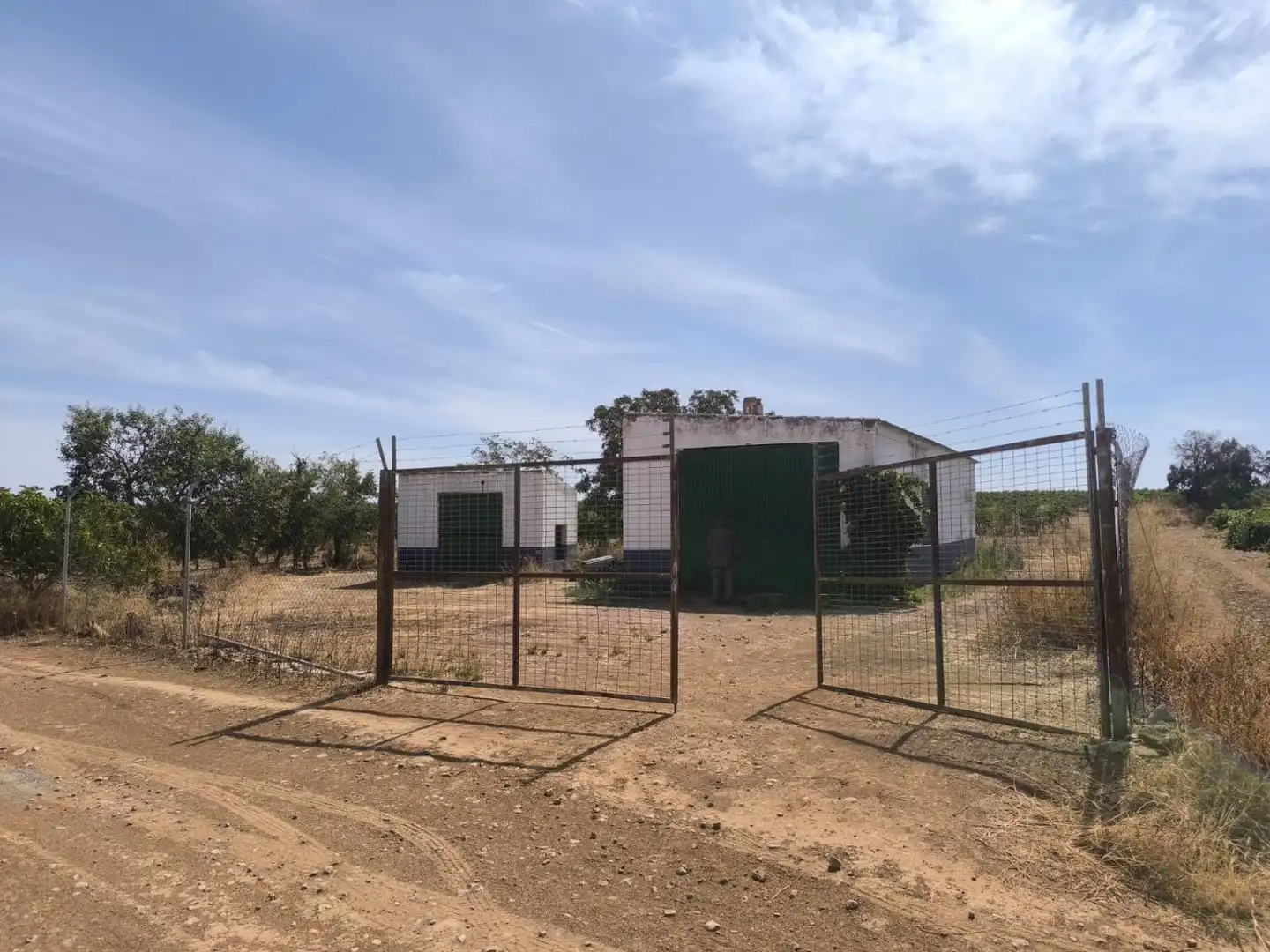 Casa rústica en venda a Torralba de Calatrava, imagen 2