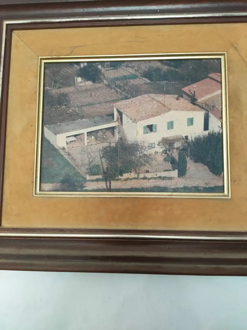 Vista exterior de Finca rústica en venta en Mont-ras