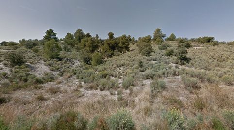 CORTIJO EN LORCA
