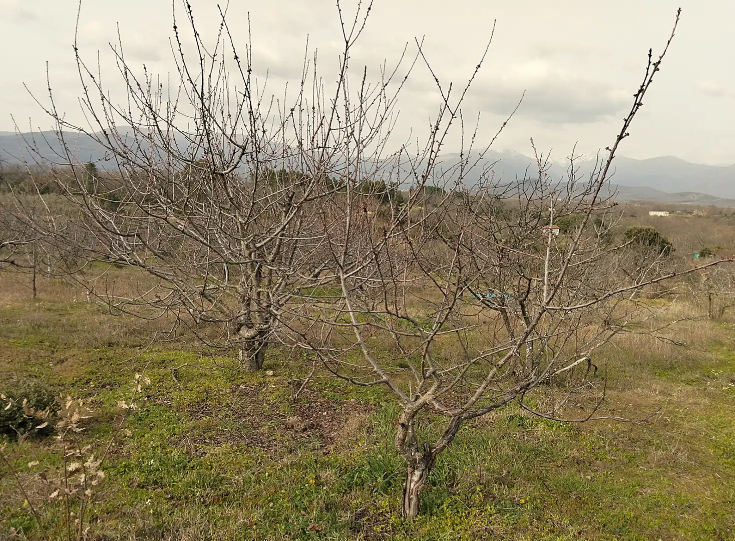 Terreno en venta en Collado de la Vera