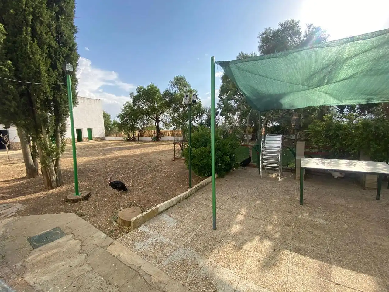 Casa rústica amb piscina en venda a DS DISEMINADOS Polígono 14 Parcela 10 LA CARRETERA, imagen 10