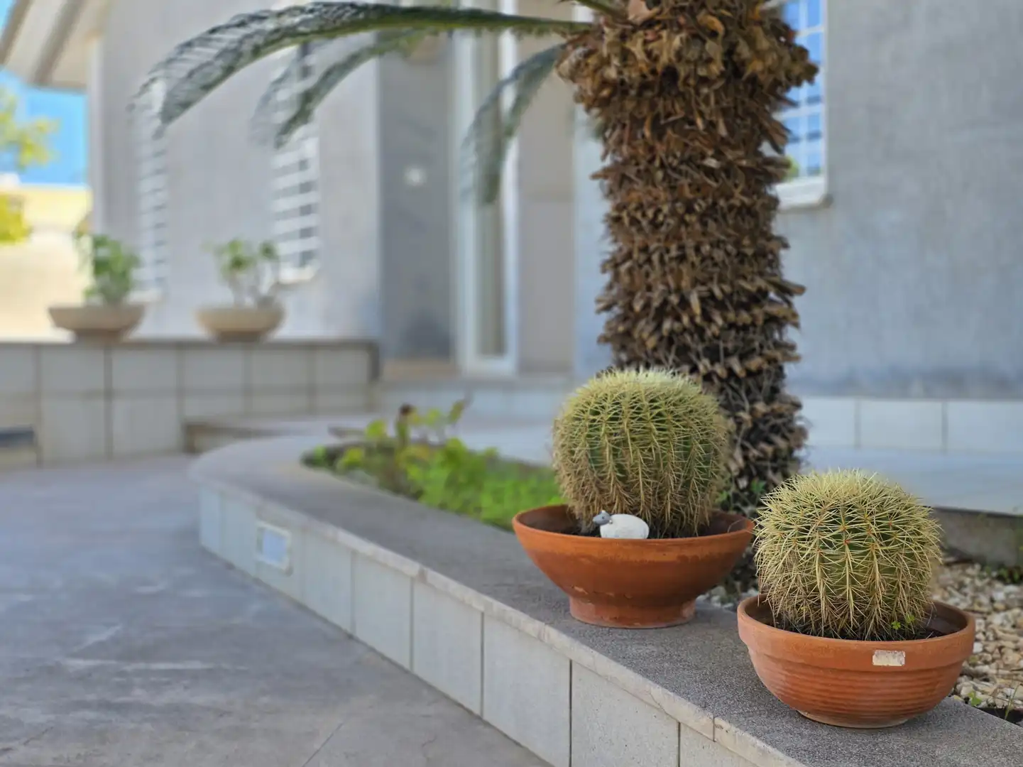 Casa o xalet en venda a TR AMERICA, 17, Torreón - La Almadraba