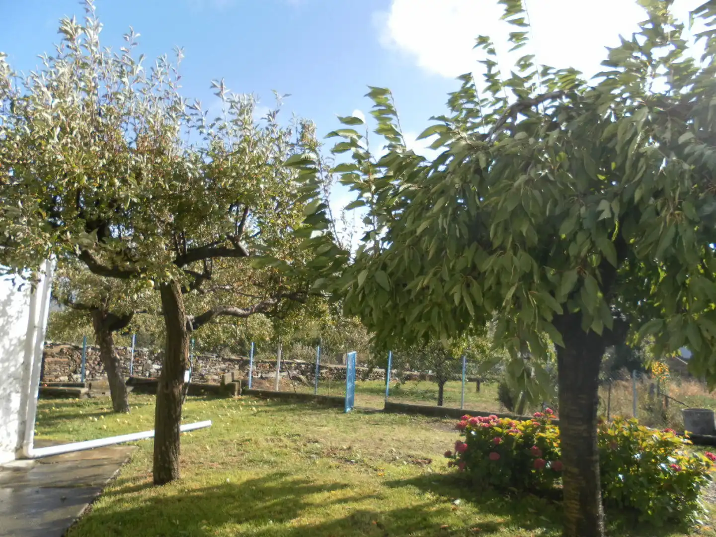 Jardín de Casa o chalet en venta en Lucillo con Calefacción, Parquet y Trastero