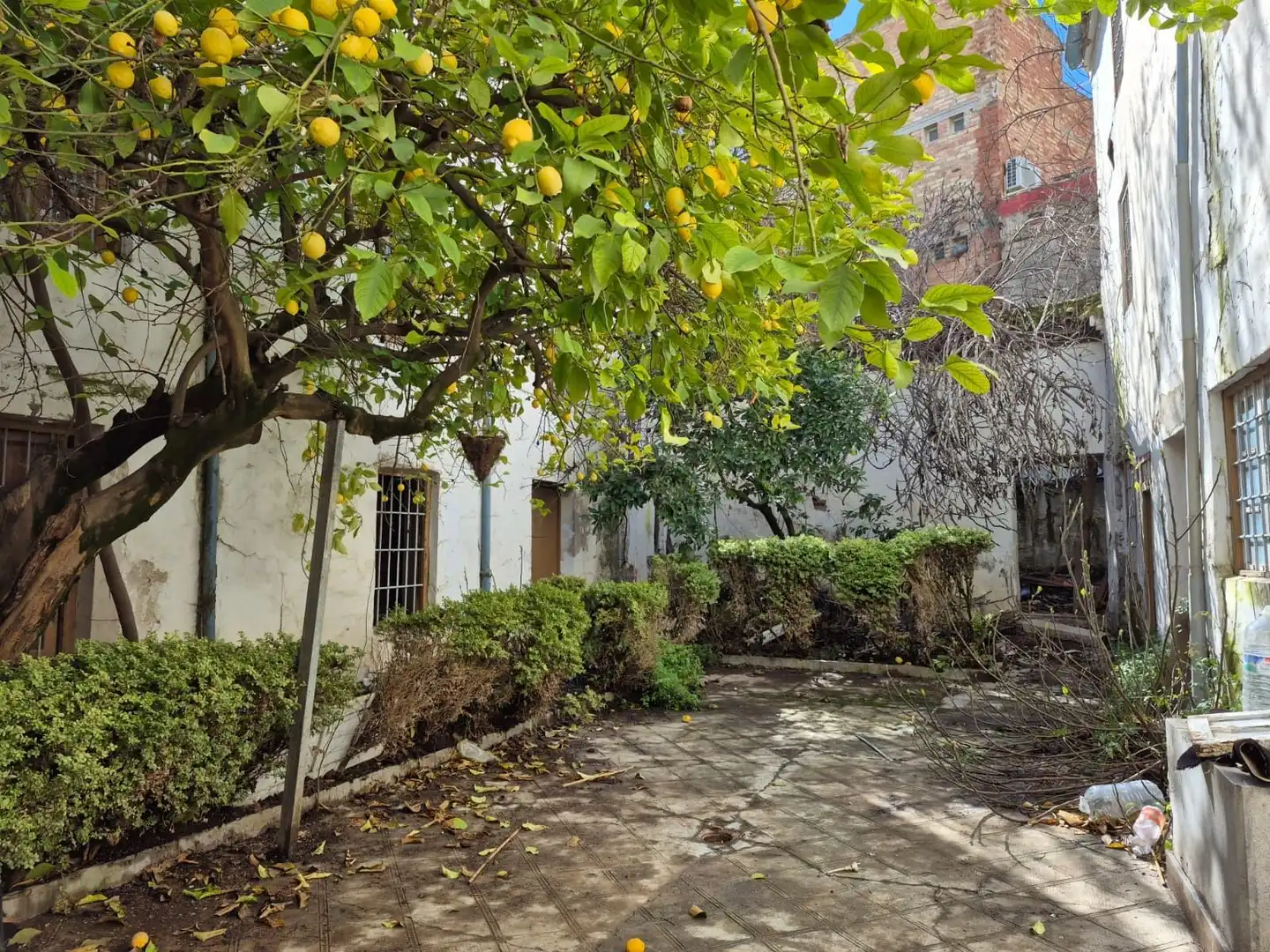 Exterior view of Detached homes for sale in Loja  with Terrace