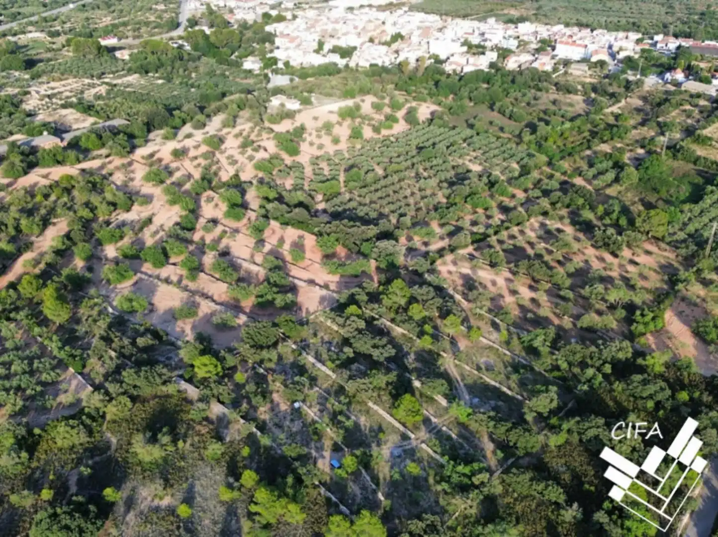 Terreno rustico in vendita a 14, imagen 3