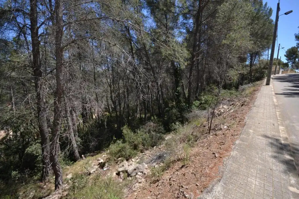 Rural land for sale in c/ can macia, imagen 12