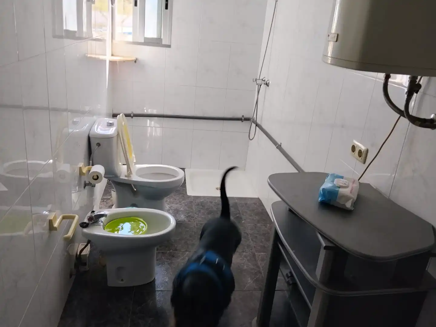 Baño de Casa o chalet en venta en Massalavés con Aire acondicionado, Jardín privado y Terraza