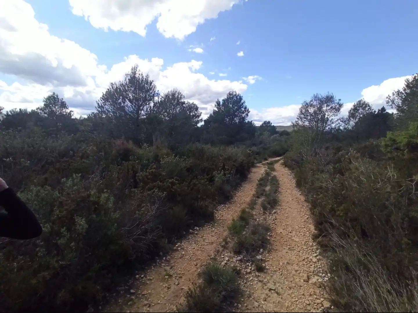 Rural land for sale in Poligono 1, imagen 11