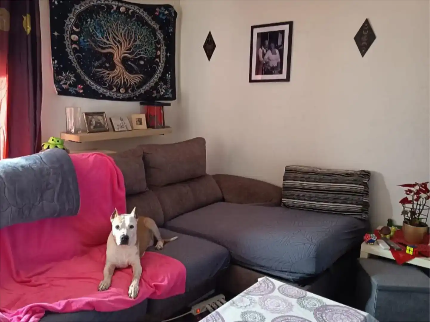 Living room of Flat for sale in Montblanc