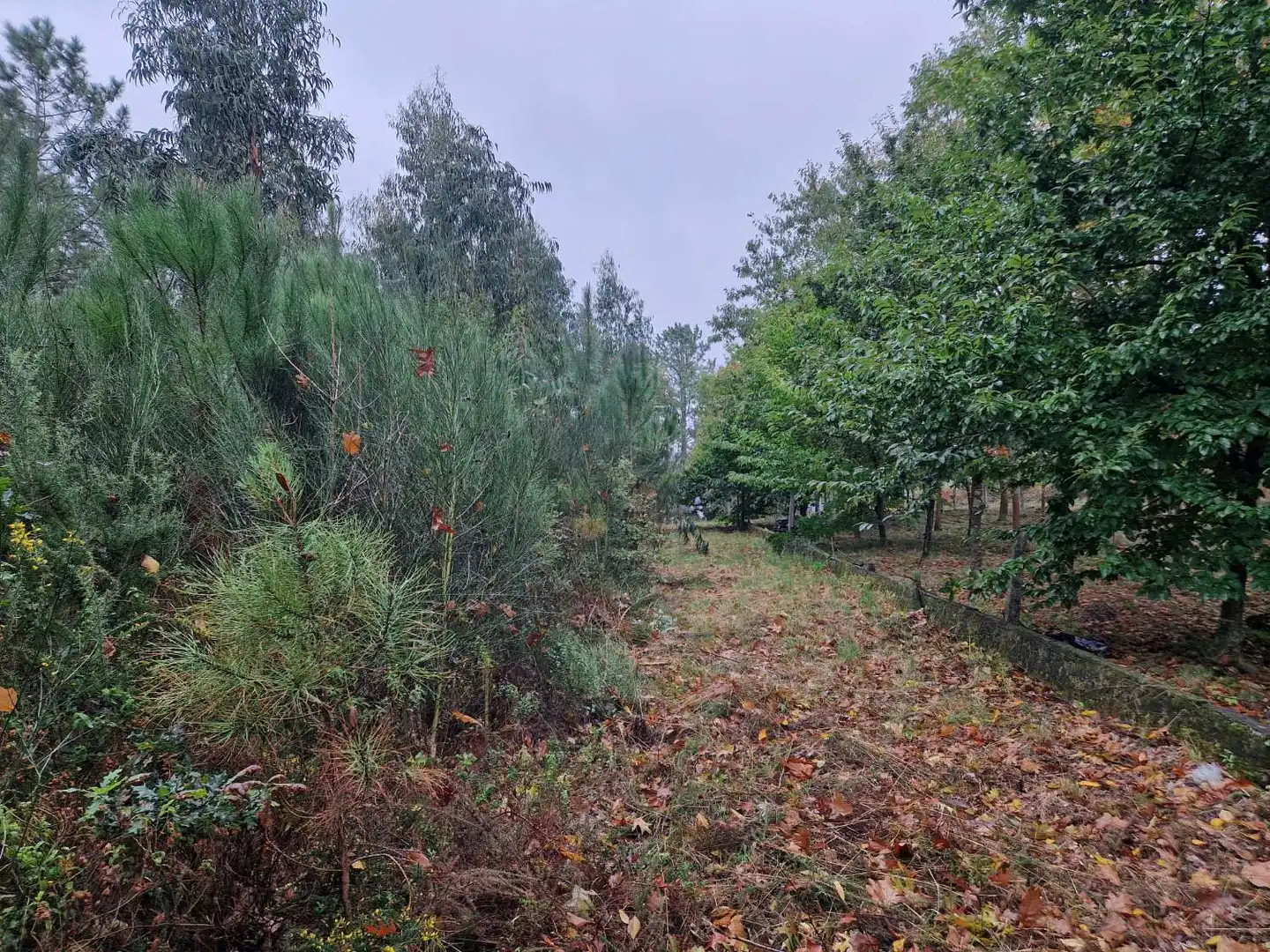 Residential for sale in Teo