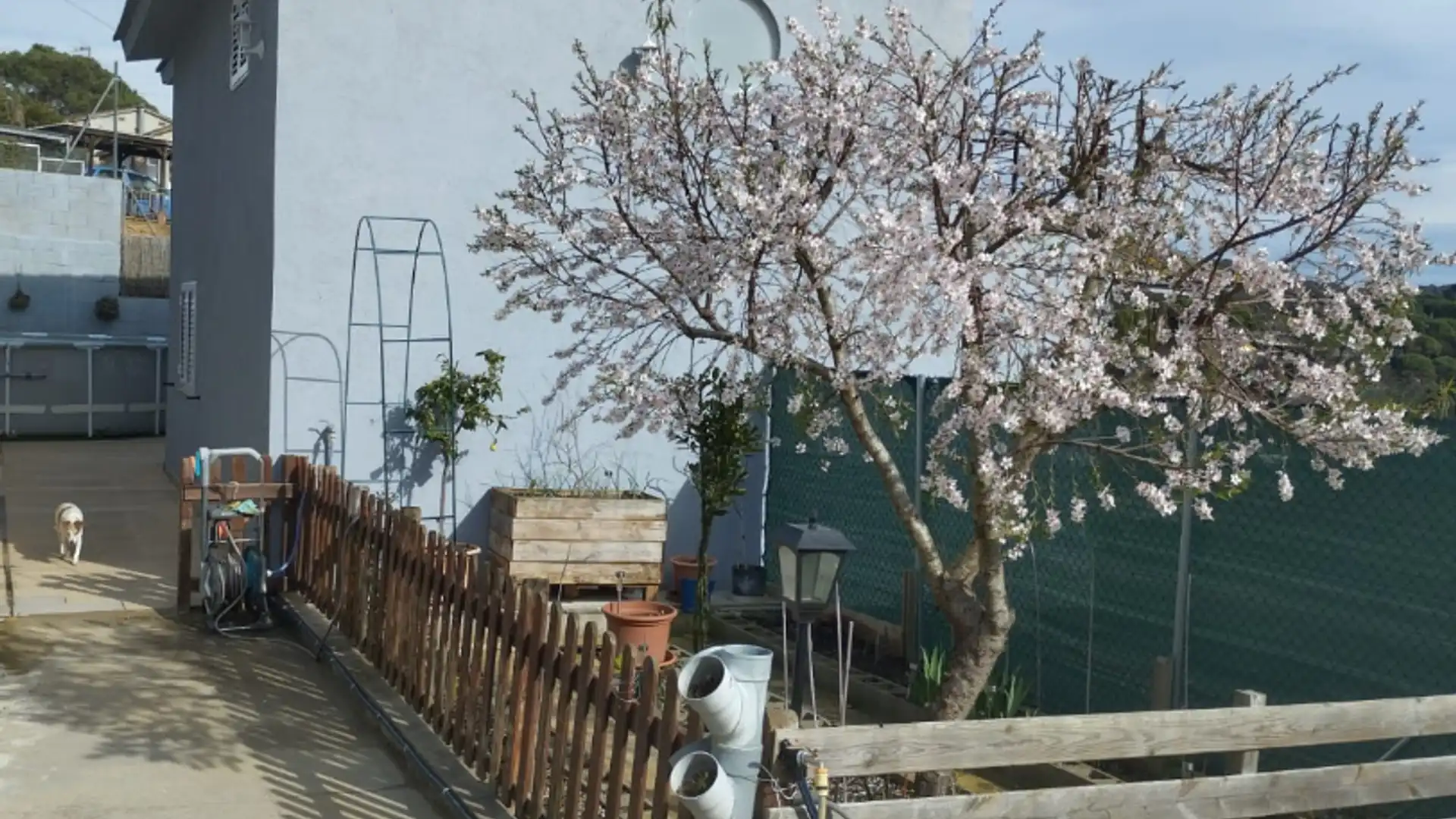 Jardí de Casa o xalet en venda en Maçanet de la Selva amb Calefacció, Jardí privat i Terrassa