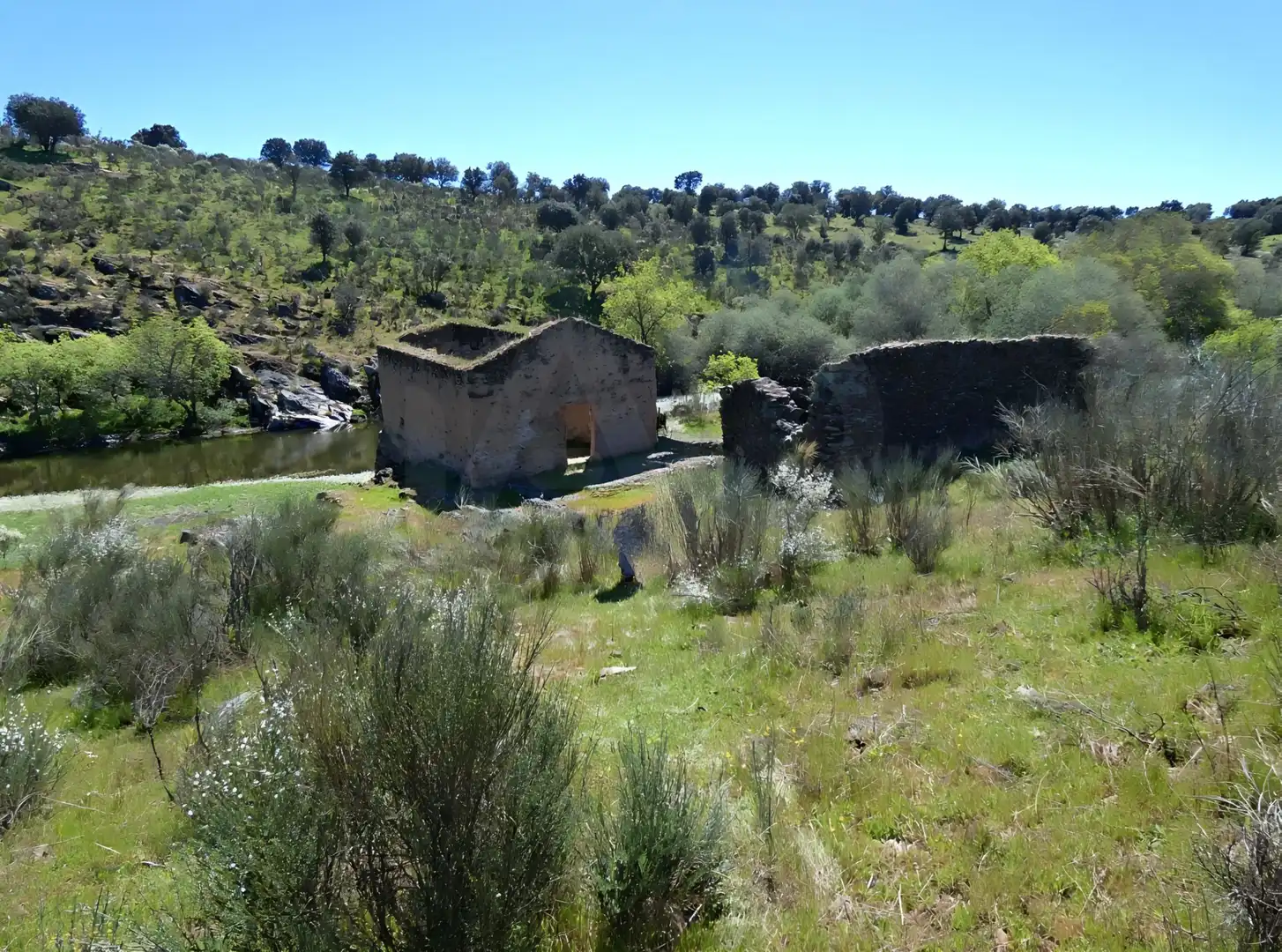 Terreny en venda en Gallegos de Argañán