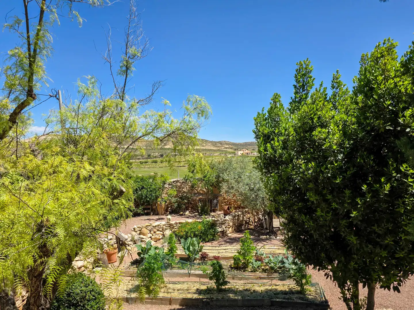 Casa rústica en venda a Jumilla, imagen 25