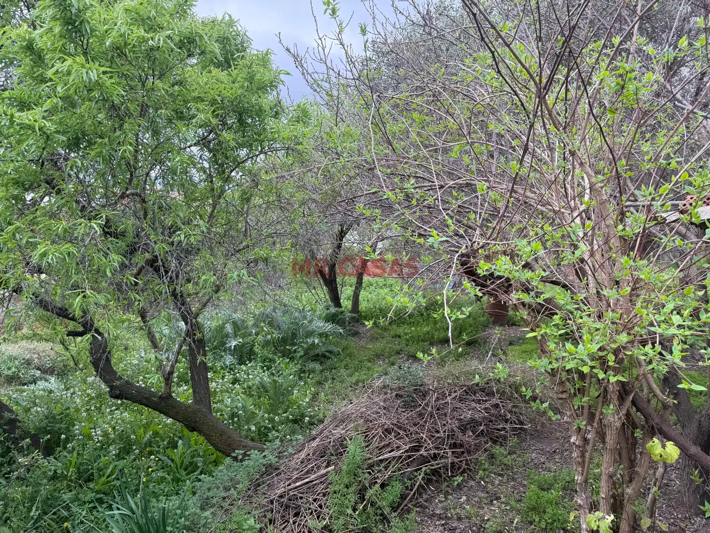 Residential land for sale in Carrer de Lleó, imagen 16