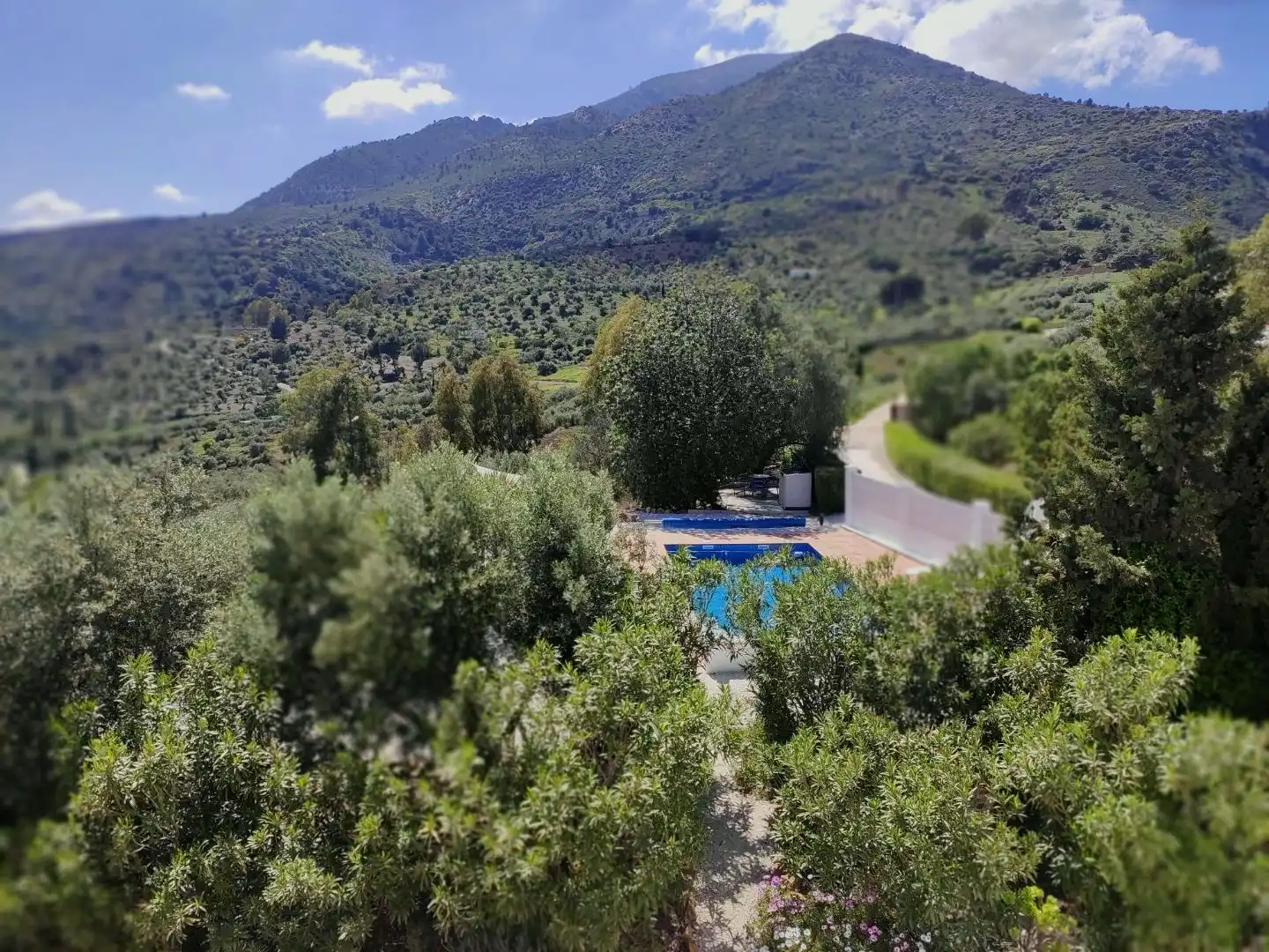 Xalet amb piscina en venda a Loma Taivilla y Almarajes 9e, imagen 46