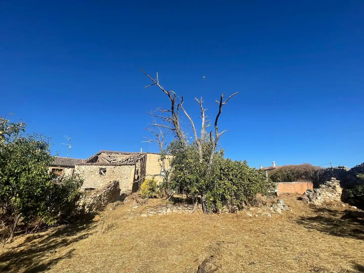 Casa o xalet en venda en Caballar amb Jardí privat