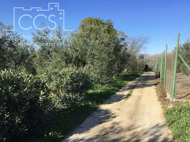 Finca rústica en venta en Pilas con Aire acondicionado, Terraza y Trastero